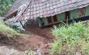 Terjadi 114 Bencana di Kota Bogor Selama Bulan Oktober 2024