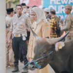 Bupati Karawang Cellica Nurrachadiana menerima hewan kurban dari perusahaan