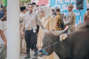 Bupati Karawang Cellica Nurrachadiana menerima hewan kurban dari perusahaan