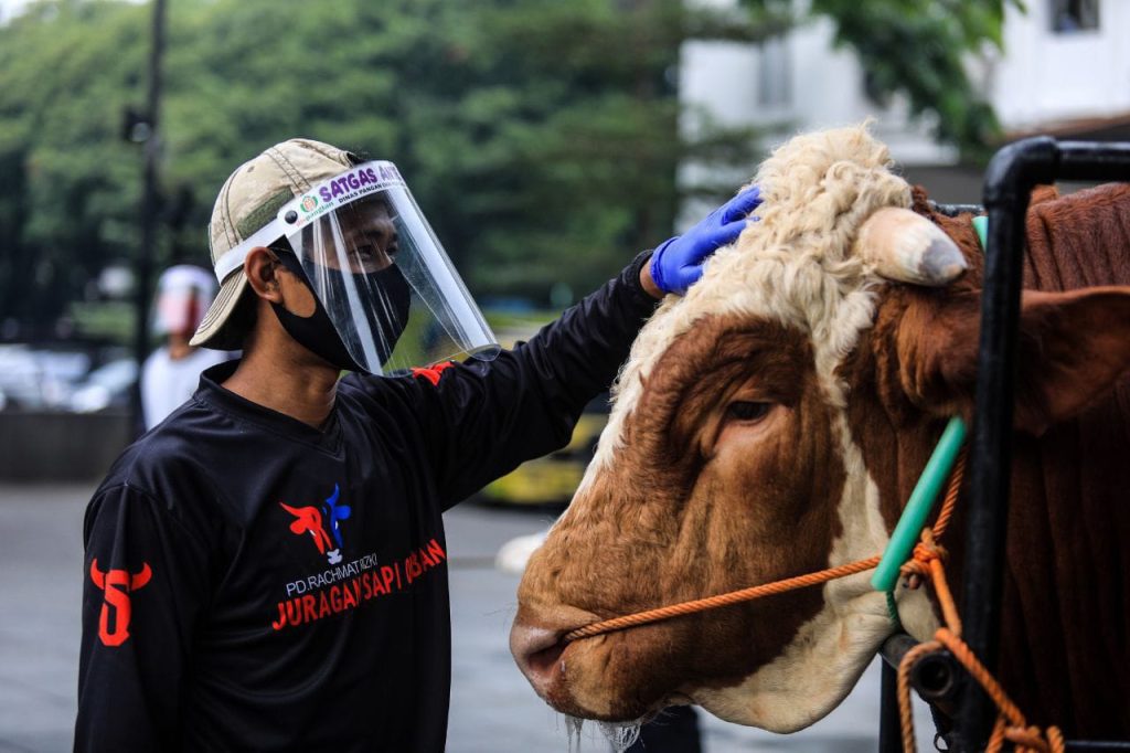 Jelang Idul Adha, 1.369 Ekor Hewan Kurban di Kota Bandung Divaksin