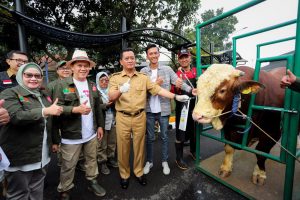 Ratusan Satgas Siap Pastikan Seluruh Hewan Kurban Sehat