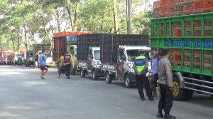 Mahalnya Harga Ayam, Pengusaha Lakukan Aksi Konvoi Ke Jakarta