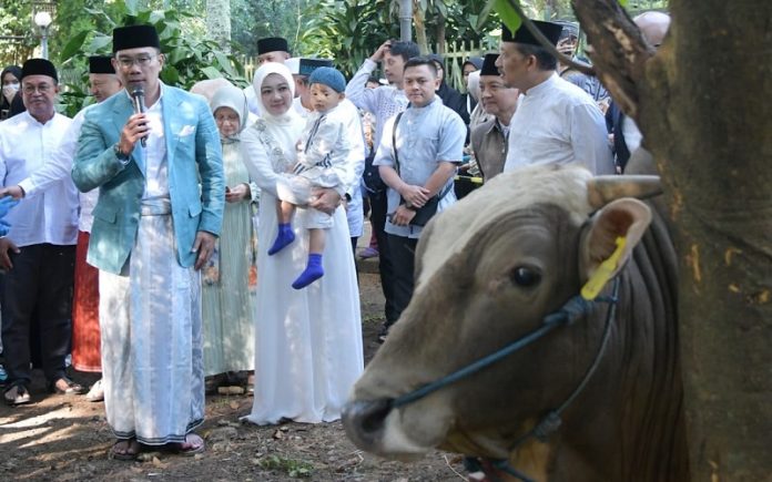 Ridwan Kamil