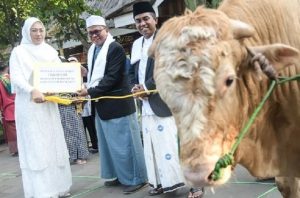 Rayakan Idul Adha 1444 Hijriah, Bupati Anne Ratna Mustika Serahkan Hewan Kurban