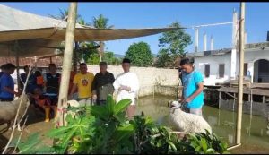 Idul Adha 1444 Hijriah, Yayasan Tumaritis Maju Bersama Bagikan Daging Kurban ke Ratusan Orang