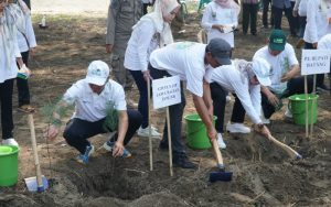 Cegah Abrasi Pantai, PLN Salurkan Bantuan 31.000 Pohon untuk Kabupaten Batang Jateng