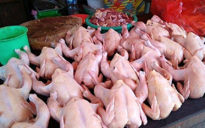 Harga Ayam