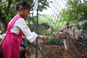 Soal Lahan Kebun Binatang, Pemkot Bandung Wajib Amankan Aset