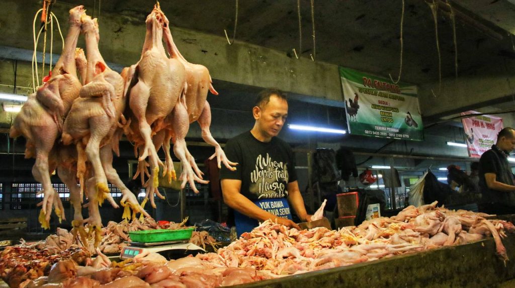 Ini Faktor Harga Daging Ayam dan Cabai Masih Melambung Tinggi
