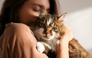 Ternyata Ini Manfaat Memelihara Kucing, Salah Satunya Bisa Turunkan Tekanan Darah
