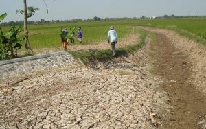 Hadapi Musim Kemarau, Warga Cianjur Diminta Siapkan Penampungan Air