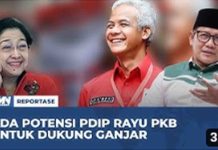 PDIP PKB