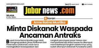 Anne Ratna Mustika Minta Diskanak Waspada Ancaman Antraks