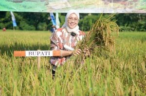Dalam Lima Tahun Produksi Jutaan Ton Padi, Purwakarta Terus Perkuat Ketahanan Pangan Nasional