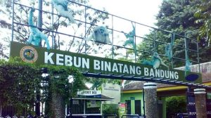 Sejak Awal, Pemkot Bandung Hanya Amankan Aset Lahan Bonbin Bandung