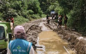 Kisah Perjuangan Srikandi PLN Salurkan Listrik ke Daerah 3T di Sulawesi