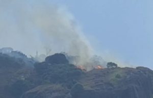 Gunung Bongkok Purwakarta Kebakaran, Damkar Terjunkan Petugas ke Lokasi