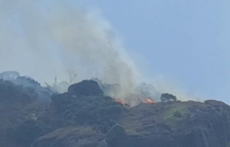 Gunung Bongkok Purwakarta Kebakaran, Damkar Terjunkan Petugas ke Lokasi
