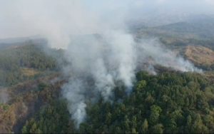 Cegah Karhutla di Gunung Ciremai, Bupati Kuningan Bentuk Posko Siaga