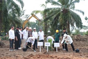 Menteri Pertanian Tanam Sawit di Serdang Bedagai, Ini Tujuannya