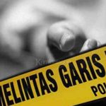 Ilustrasi pria lansia di Tasikmalaya ditemukan tewas di atas pohon kelapa