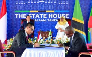 Disaksikan Presiden Jokowi, PLN Gandeng TANESCO Kembangkan Ekosistem Ketenagalistrikan di Tanzania