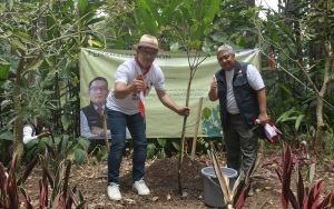 Ridwan Kamil Ngaku 81 Ribu Hektare Lahan Kritis di Jabar Pulih