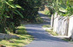Perbaikan Jalan Desa Mekarjaya Purwakarta Rampung, Bupati Anne Harapkan Ini