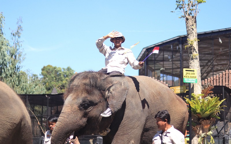 Lembang Park Zoo Gelar Parade dan Karnaval Satwa Meriahkan HUT RI ke-78
