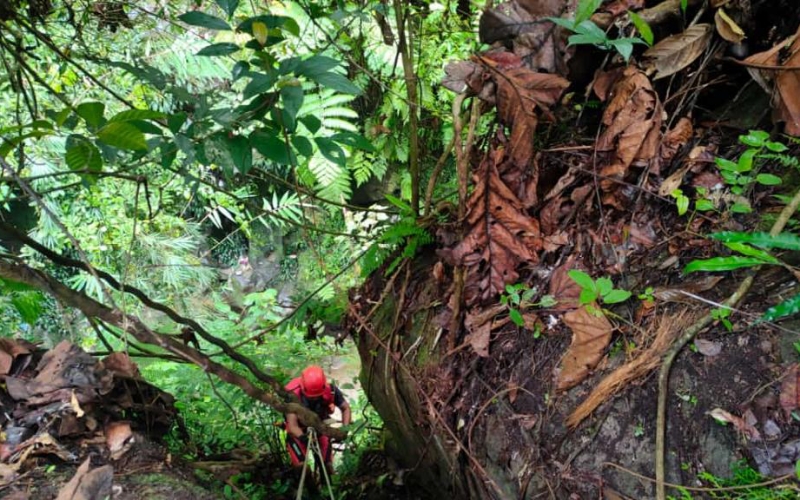Minibus Terjun ke Jurang di Dairi, Basarnas Medan Cari Dua Penumpang yang Hilang