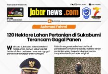 Achmad Fahmi 120 Hektare Lahan Pertanian di Sukabumi Terancam Gagal Panen
