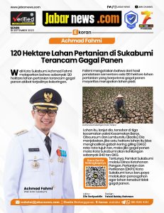 Achmad Fahmi 120 Hektare Lahan Pertanian di Sukabumi Terancam Gagal Panen