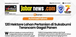 Achmad Fahmi 120 Hektare Lahan Pertanian di Sukabumi Terancam Gagal Panen