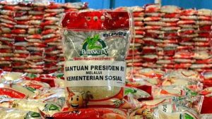 Bansos beras 10 kg dari Presiden Jokowi (1)