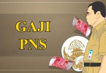 Gaji PNS