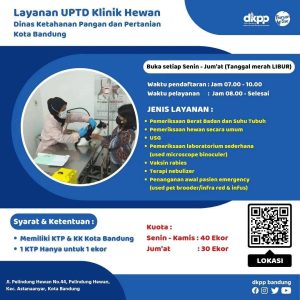 Bulan September, Pemkot Bandung Gelar Vaksinasi Rabies Gratis