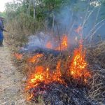 Kebakaran Lahan di Cianjur
