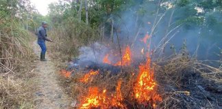 Kebakaran Lahan di Cianjur