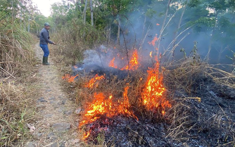 Kebakaran Lahan di Cianjur