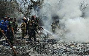 Dandim Purwakarta Pastikan Kebakaran Lahan di Bungursari Sudah Padam