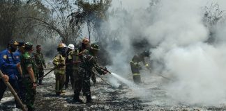 Kebakaran Lahan di Purwakarta