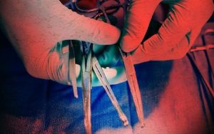DPRD Kota Bogor Minta Guru Pelaku Pelecehan Seksual Dikebiri!