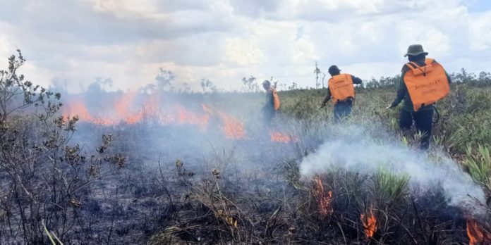 Petugas berusaha memadamkan api di area lahan hutan