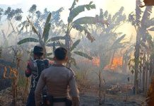 Petugas gabungan berusaha memadamkan api di kawasan hutan Gunung Jayanti Sukabumi