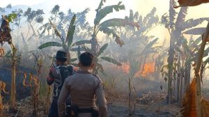 Petugas gabungan berusaha memadamkan api di kawasan hutan Gunung Jayanti Sukabumi