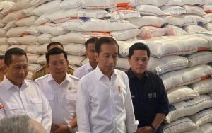 Meski Terdampak Kekeringan, Presiden Jokowi Pastikan Stok Beras Aman