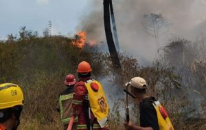 Tim gabungan berusaha memadamkan api di sektiar Gunung Guntur Garut.