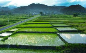 Wow! Tahun Ini, Desa Mandiri di Pangandaran Bertambah 93