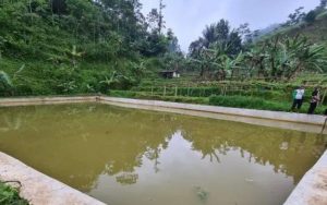 Embung Desa Wanasari dan Taringgul Tonggoh Dinilai Bisa Hadapi Kekeringan di Purwakarta