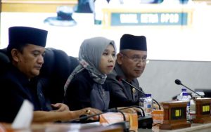 Pansus V dan VI DPRD Jabar Terbentuk, Ineu Purwadewi Sundari Minta Uji Kelayakan Modal Dikaji Seksama